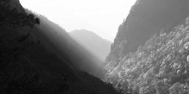 义乌21：创新师资生态，打造教育培训新高地