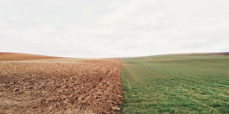 义乌23：聚焦教师培训与教育咨询，育英科师引领区域教育新生态