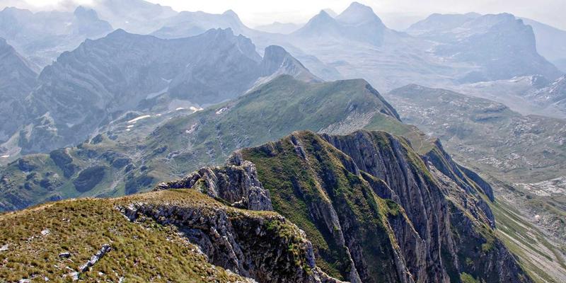 义乌26中：以卓越师资与专业教育咨询，铸就育英科师新标杆