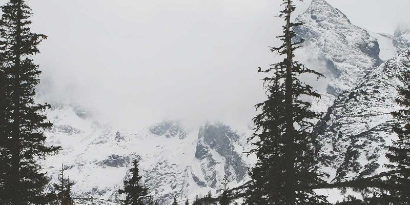 义乌38号文件引领新篇章：聚焦教师培训，育英科师赋能区域教育高质量发展