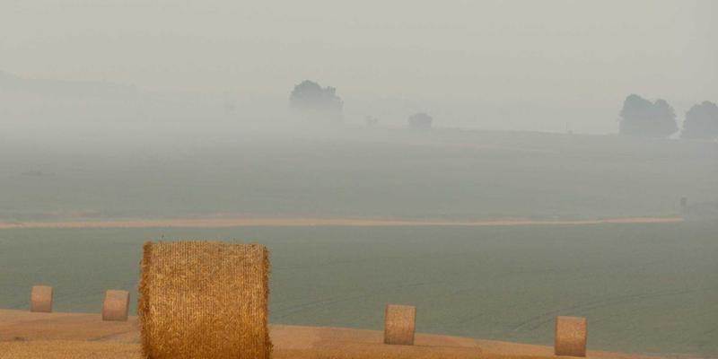 义乌59号文件解读：师资派遣如何重塑教育培训新生态——聚焦育英科师实践路径