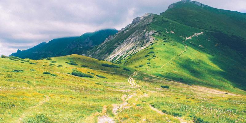 义乌88：解码世界小商品之都的师资服务与教育咨询新生态