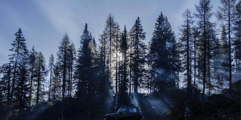 义乌小商品城数字化转型实战：从线下档口到云端展厅的师资服务与培训新路径