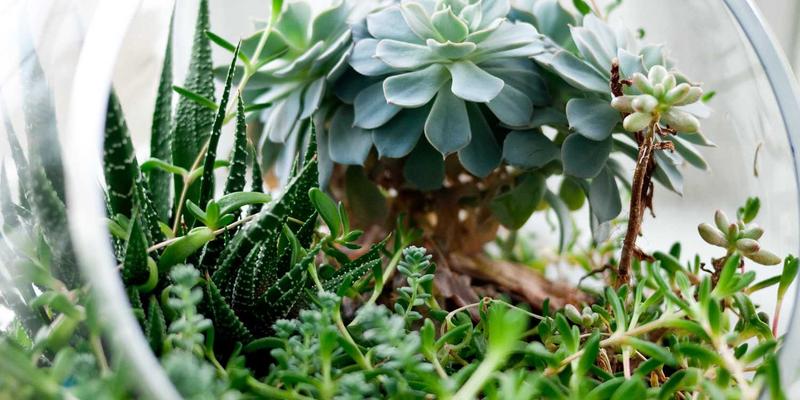 义乌育英科师:赋能新时代教师,打造高质量教育培训新标杆