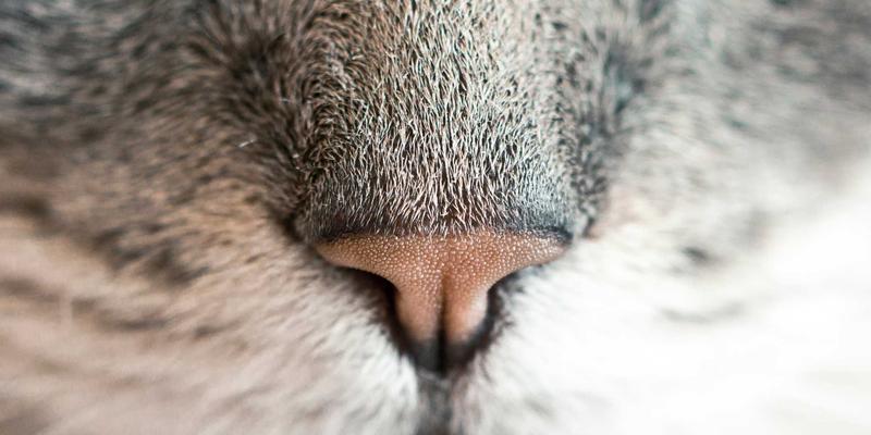 义乌跨境电商独立站运营策略：如何借力师资服务与小商品货源打造全球品牌