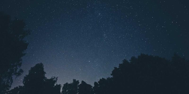 义乌进阶：师资派遣与教育咨询如何赋能城市发展新引擎