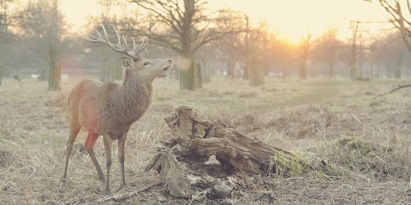 义乌饰品行业趋势分析：2024年流行款式与材质，如何借力师资服务与教育培训抢占先机