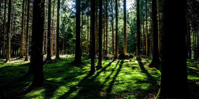 从义乌指数看全球趋势：如何为师资服务与教师培训注入市场洞察力