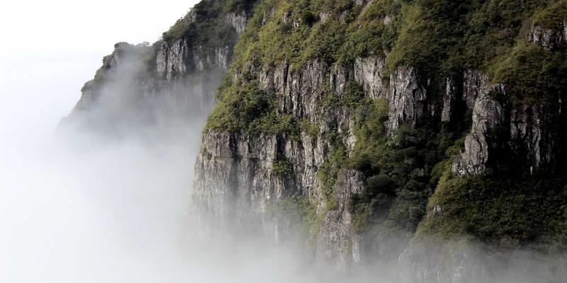 从义乌白牌到教育品牌：看中国制造如何借力教师培训与教育咨询转型升级