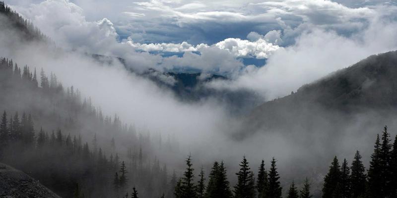 师资派遣赋能产业升级：解析义乌育英科师的独特优势与发展路径