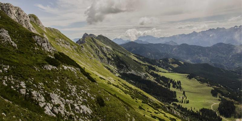 育英科师：教育咨询如何引领义乌传统外贸企业数字化转型与教师培训新路径