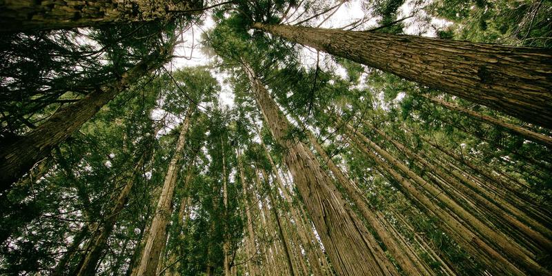 育英科师赋能：师资派遣与教育咨询如何驱动义乌饰品行业的设计创新与品牌出海