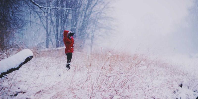 育英科师赋能：破解义乌传统外贸企业跨境电商转型的人才痛点