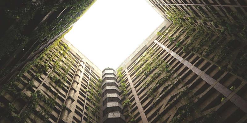 赋能教育未来：解析义乌如何高效运用教育咨询与师资服务